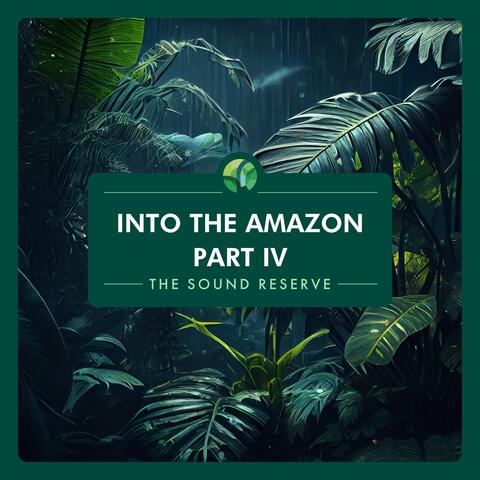 Into the Amazon Part IV