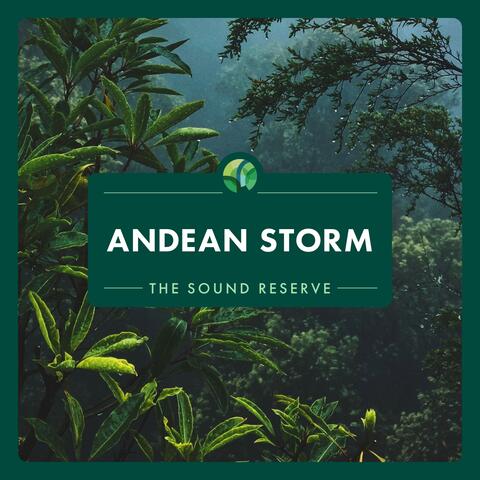 Andean Storm