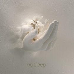 No Sleep