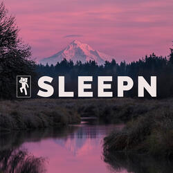 Rain Sleep and Nature Sounds