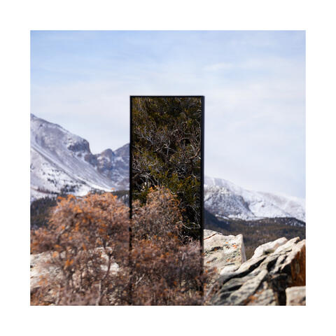 Reflections