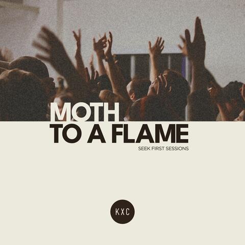 Moth to a Flame