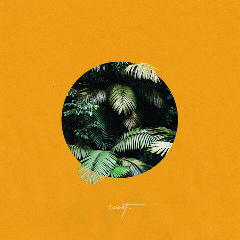 sxxnt.
