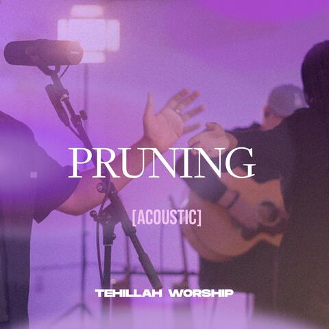 Pruning