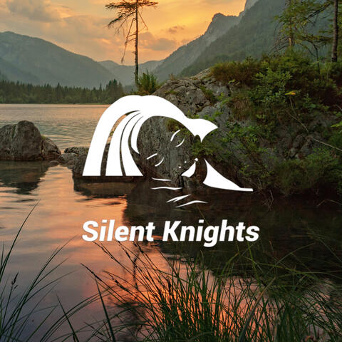 Silent Knights