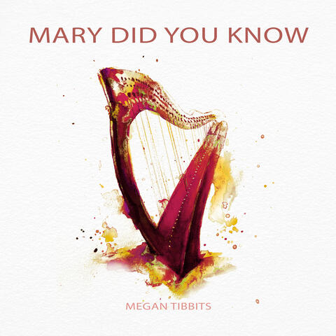Mary Did You Know