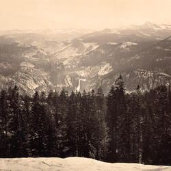 Steadfast Love