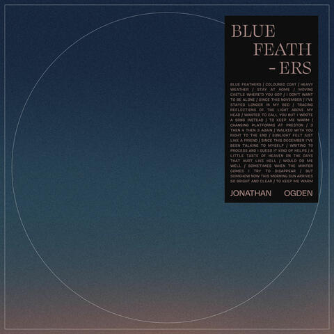 Blue Feathers
