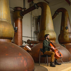 Valley Of The Brambles