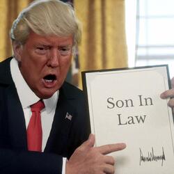 Son In Law