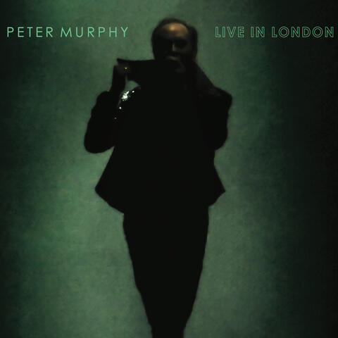 Peter Murphy Live In London