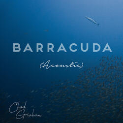 Barracuda