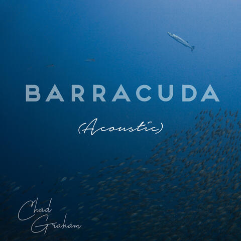 Barracuda
