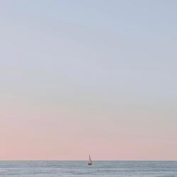 White Flag