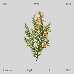 Laid Down Lover