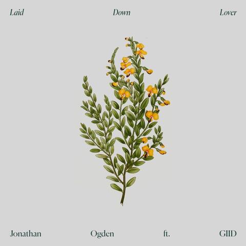 Laid Down Lover