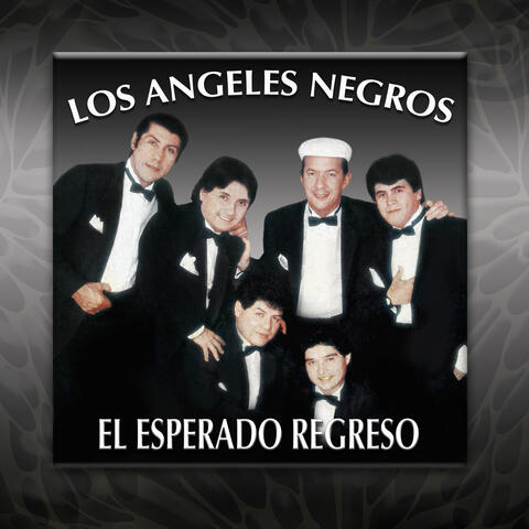 El Esperado Regreso
