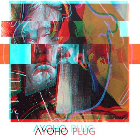 Plug