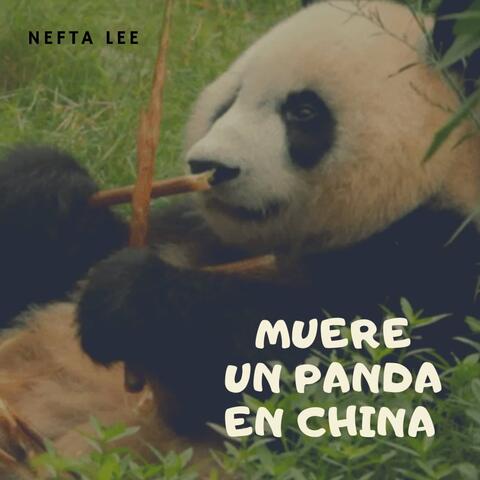 Muere un Panda en China
