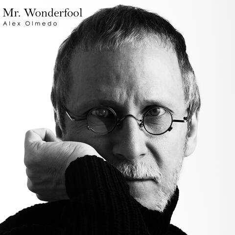 Mr. Wonderfool