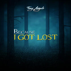 Because I Got Lost