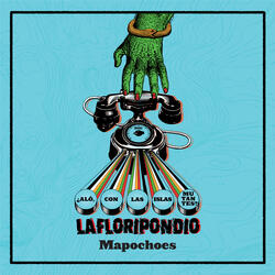 Mapochoes