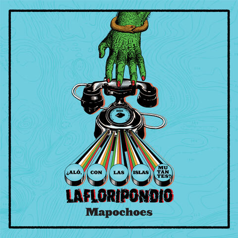 Mapochoes