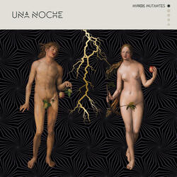 Una Noche (las Estrellas)