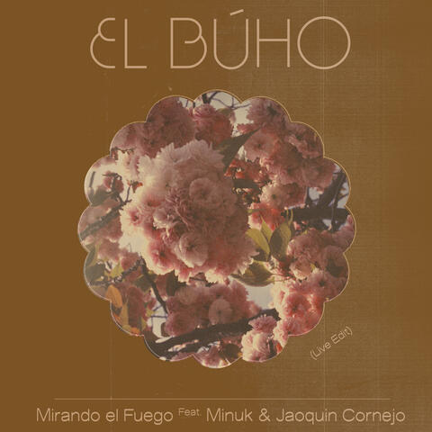 Mirando el Fuego