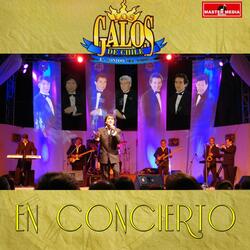 Homenaje a Eduardo franco, Los Iracundos