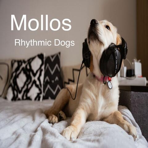 Rhythmic Dogs