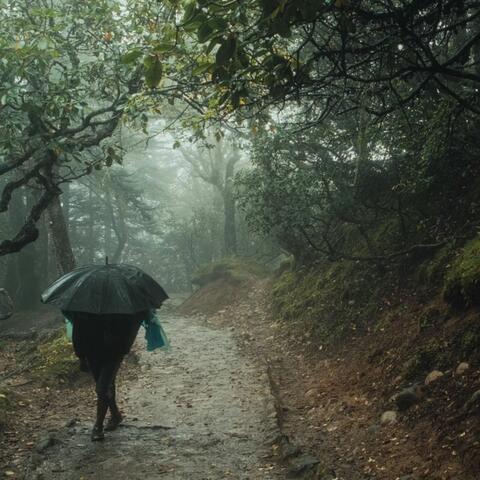 Al otro lado de la niebla
