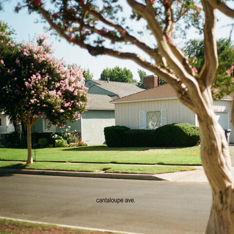 cantaloupe ave.