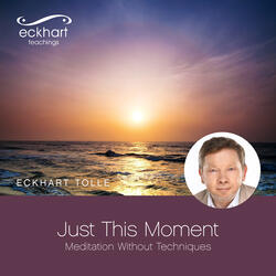 Just This Moment - Meditation Without Techniques