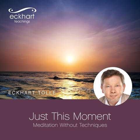 Just This Moment - Meditation Without Techniques