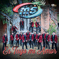 Es Tuyo Mi Amor