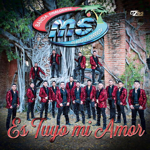 Es Tuyo Mi Amor