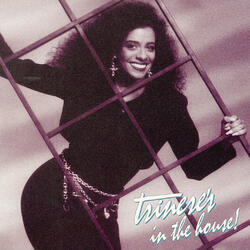 Trinere Hits Mega Mix