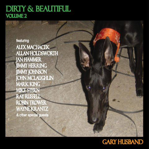Dirty & Beautiful, Vol. 2
