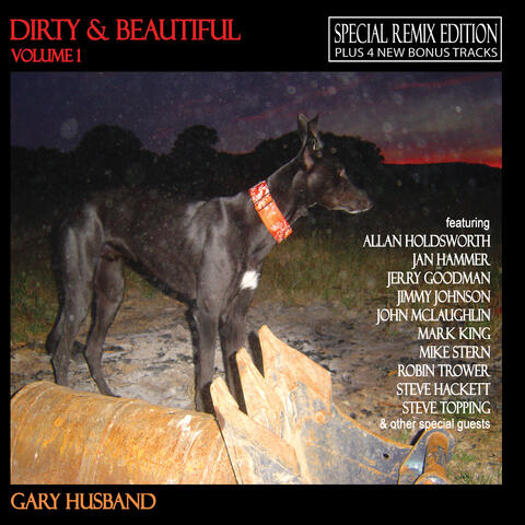Dirty and Beautiful Vol. 1 (Special Remix Bonus Version)