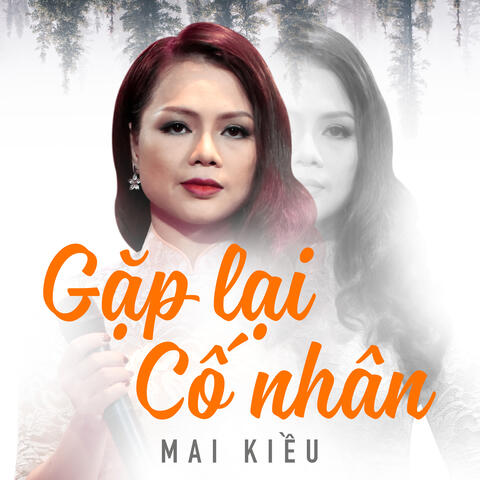 Gặp Lại Cố Nhân