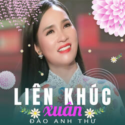 LK nếu xuân này vắng anh