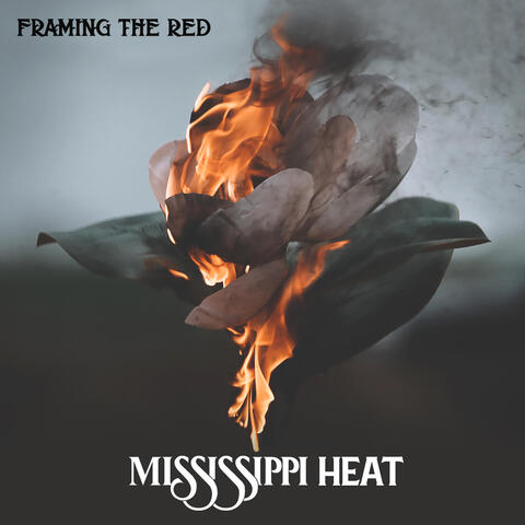 Mississippi Heat