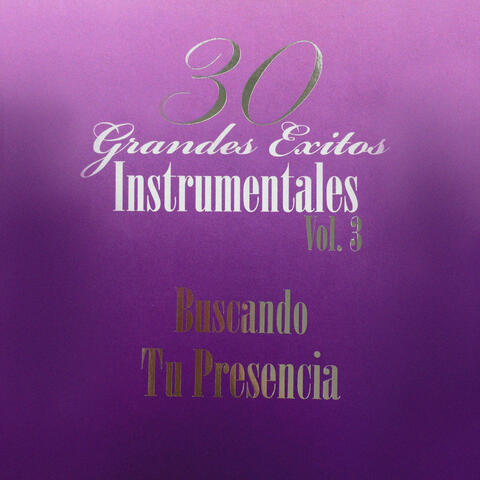 30 Grandes Exitos Instrumentales Vol.3 (Buscando Tu Presencia  Instrumental )