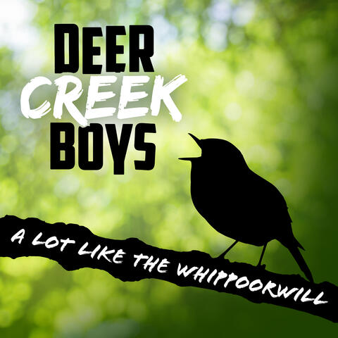 A Lot Like the Whippoorwill