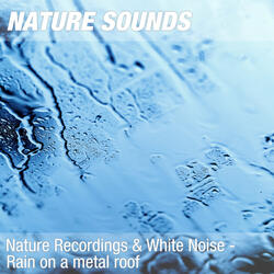 Nature Sounds for Sleep, Reiki & Ayurveda Massage (Calm rain, thunder) 03