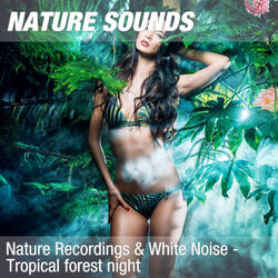 Nature Sounds for Studying, Working & Concentration (Magical jungle night) 09
