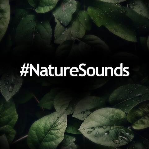 #NatureSounds