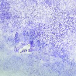 서리 Frost