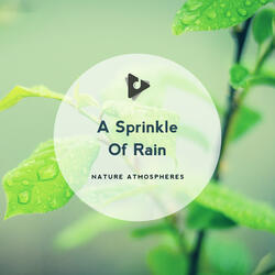 Wear Your Rainjacket